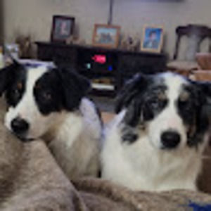 Meet your Posher, Carol